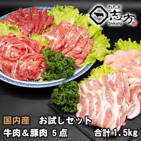 【福袋】国内産 お試しセット 牛肉＆豚（国内産）肉 5点セット 1.5kg