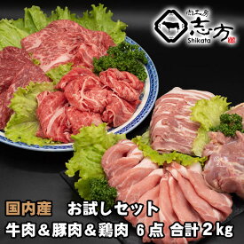 【福袋】国内産 お試しセット 牛肉＆豚肉＆鶏肉 6点セット 2kg