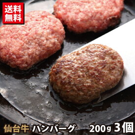 仙台牛 ハンバーグ 3個 A5ランク100%