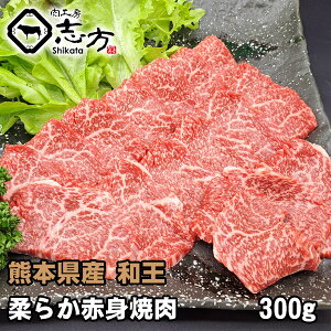 F{Y a _炩Ԑg ē 300g