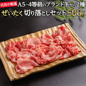 【冷凍】店長厳選！ おまかせ 厳選黒毛和牛・ブランド牛 切り落とし セット 500g 送料無料 | 山形牛 佐賀牛 黒樺牛 熊野牛 鹿児島黒牛 おおいた和牛 信州プレミアム 菊池出荷組合　ets ブランド牛及び厳選黒毛和牛から2種類 A5〜4ランク　　すき焼き　はいかがで