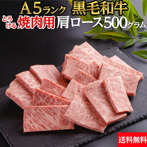 yⓀzјa [X ē A5  500g  | Ƃ낯 ēZbg  ʂȁ@̓@̓@hV̓@Ε@~@~@a