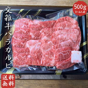 yⓀzY G oJr ē 500g y  z Ƃ낯 ēZbg  Mtg  j C~@ʂȁ@G@̓@̓@hV̓@Ε@Ε@o