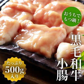 【冷凍】黒毛和牛小腸 500g【送料無料】もつ鍋 焼肉 ホルモン 和牛 熨斗 贈答 誕生日 家鍋 お祝い事 牧場 品質 鍋 国産 もつ 小腸