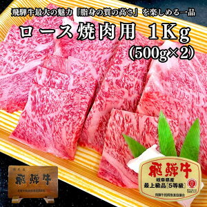 Iׂe ˋ[X ē Y Y a   I n p ̉