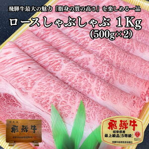 Iׂe ˋ[XԂ Y Y a   I n p ̉