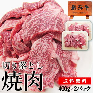 ē   󂠂 ˋ ؂藎Ƃ ēp 400g×2pbNi800gj  2pbNZbgɂȂ܂I BBQ Ă SĂ Lv \L ؂肨Ƃ ؂藎 ؗ s