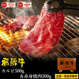 焼肉 《メガ盛り》 飛騨牛 カルビ 500g ＆ もも・かた（赤身） 500g 合計 1kg 焼肉用 送料無料 ハーフ＆ハーフ 1キロ BBQ バーベキュー 焼肉 おうち焼肉 おうち焼き肉 ブランド 和牛 黒毛和牛 ブランド牛 牛肉 お肉 ギガ盛り テラ盛り