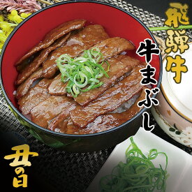 肉のひぐち 飛騨牛 牛肉 まぶし （飛騨牛もも肉180g（90g×2）＆キット2セット） 送料無料 ひつまぶし 肉 牛肉 ギフト 食べ物 丑の日 黒毛和牛 お肉 ギフト お礼 お祝い 内祝い 誕生日 プレゼント 御礼 内祝 お中元 御中元