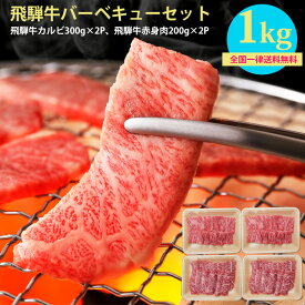 バーベキュー 肉 焼肉 セット 飛騨牛 バーベキューセット 1kg 約4〜5人 送料無料 お肉 1kg 焼き肉 焼き肉セット カルビ もも かた 赤身 福袋 詰め合わせ お取り寄せグルメ 高級