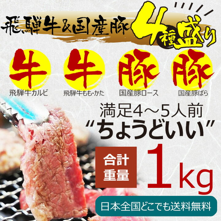 楽天市場】バーベキュー 肉 焼肉 セット 飛騨牛 国産豚肉 肉 バーベキューセット 1kg （冷凍） 約4〜5人分 送料無料 食材セット 焼き肉セット  カルビ もも かた 赤身 豚バラ 豚ロース BBQセット お中元 小分け 福袋 詰め合わせ セール 焼くだけ お買い得 : 昭和31年創業 ...