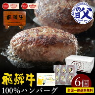 【10日限定最大1,000円オフクーポンあり】【よ〜いドン！で紹介されました】 飛騨牛 ハンバーグ 120g×6…