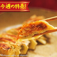 今週の特売！冷凍◆ひぐちの肉餃子 15個入×2P