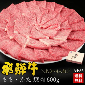 ē Mtg  Mtg ˋE ēp 600g3`4lO ϔ  j  Mtg  j j Mtg Hi v[g Ԑg  A4A5 C~ BBQ Ђ