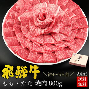 ˋE ēp 800g4`5lO ϔ  A4A5 ē Mtg  Mtg j a  j j Hi v[g Ԑg  C~ Hו Ђ̃M
