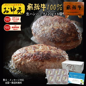 【よ〜いドン！で紹介されました】 飛騨牛 ハンバーグ 120g×6個 送料無料 ハンバーグ 肉 ギフト 黒毛和牛 ハンバーグ 牛 肉 お肉 セット 詰め合わせ お取り寄せグルメ お礼 お祝い 内祝 誕生日 プレゼント 御中元 お中元 ギフト 2025