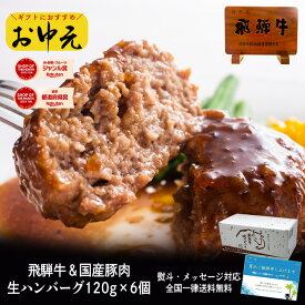 飛騨牛入 安福ハンバーグ 120g×6ヶ 送料無料 レシピ付 肉 牛 肉 ギフト ハンバーグ 黒毛和牛 国産豚 合挽 肉 ギフト 焼くだけ 簡単調理 3000円 肉 ギフト お肉 セット お取り寄せグルメ お祝い 御祝 内祝 誕生日 御中元 お中元 ギフト