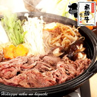 肉 ご自宅使い 飛騨牛 もも・かた （赤身） すき焼き用 400g 約2〜3人前 送料無料 冷凍 スライス もも肉 …