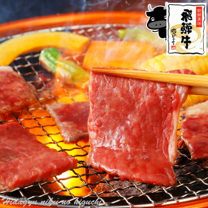  g ˋ E iԐgj ēp 400g 2`3lO  Ⓚ   јa uh    ē Ă ē BBQ o[xL[ Lv 