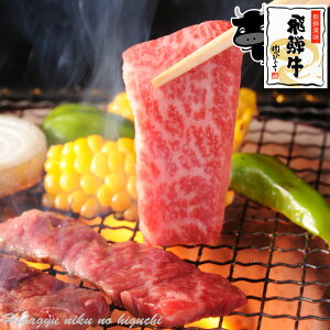 ˋ [X ēp 400g 2`3lO [X XCX ₫ɂ Ă pbN Ɨp ē     uha јa a ~ a 񂹃O