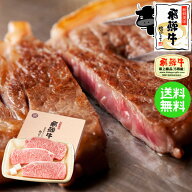 A5等級 お肉 プレミアムギフト 飛騨牛 サーロインステーキ 計450g(150g位×3枚)ステーキソース付 化粧箱…