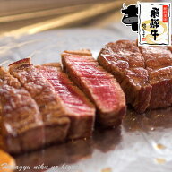 肉 ご自宅使い 飛騨牛 サーロインステーキ 400g（約200g×2枚） 送料無料 ステーキソース付 黒毛和牛 ブ…