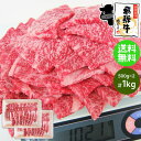 【～4/27 9:59 5％オフクーポン配布】焼肉 肉 飛騨牛 牛肉 カルビ 焼肉用 500g×2メガ盛り 送料無料 合計1kg 1キロ 肉 牛 お肉 1kg まとめ買い カルビ 焼肉 お肉 焼肉セット BBQ バーベキューセット バーベキュー 肉 食材 肉 和牛 黒毛和牛 ギガ盛り テラ盛り