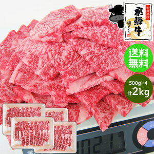 ˋ Jr ēp 500g×4pbN e  ܂Ƃߔ v2kg 2L јa uh  Jr ē ē Ă  BBQ o[xL[  a K MK
