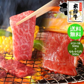 焼肉 《メガ盛り》 飛騨牛 かたロース 500g & もも・かた 500g 合計1kg 焼肉用 送料無料 ハーフ&ハーフ 1キロ BBQ クラシタ 赤身 バーベキュー 焼肉 おうち焼肉 ブランド 和牛 黒毛和牛 ブランド牛 牛肉 肉 お肉 ギガ盛り テラ盛り