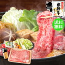 飛騨牛すき焼き鍋セット 二人前 《冷蔵でお届け》飛騨牛肩ロース300g・ 野菜 ・わりした・糸こんにゃく 送料無料牛肉 …