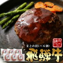 【～4/27 9:59 5％オフクーポン配布】ハンバーグ ギフト 飛騨牛 ハンバーグ 120g×6個 送料無料 ギフト箱入 よ～いドン！にて紹介！母の日 ギフト 黒毛和牛 ハンバーグ 牛 肉 お肉 セット 詰め合わせ お取り寄せグルメ 肉 ギフト 内祝 誕生日 プレゼント ひぐちのギフト