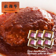 ハンバーグ ギフト 飛騨牛 煮込みハンバーグ 240g{固形(120g)ソース(120g)}×6個 【マツコの知らない世界…