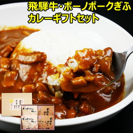 ご当地 グルメ 飛騨牛カレー ＆ ボーノポークぎふポークカレー ギフトセット 各220g×2食 合計4食入 送料無料御中元 カレー レトルト 詰め合わせ ギフト セット ビーフカレー ポークカレー お取り寄せ グルメ ご当地カレー ひぐちのギフト