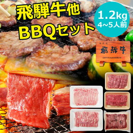 【～4/27 9:59 5％オフクーポン配布】バーベキュー 肉 焼肉 セット 飛騨牛入 1.2kgセット 約4～5人用 飛騨牛 カルビ 200g もも・かた肉 200g 国産豚 ばら肉 300g ロース肉 300g 厚切り牛タン芯200g 食材セット 焼肉セット BBQセット 牛タン 福袋 詰め合わせ セール