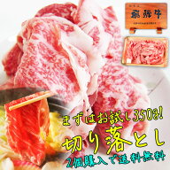 牛肉 肉 お試し 訳あり 飛騨牛 切り落とし 350g 【2パック購入で送料無料】肉 牛 黒毛和牛切り落とし ご…