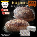 【～11/11 1:59まで5％オフクーポン】【よ〜いドン！で紹介されました】 飛騨牛 ハンバーグ 120g×6個 送料無料 ハンバーグ 肉 ギフト 黒毛和牛 ハンバーグ 牛肉 お肉 セット 詰め合わせ お取り寄せグルメ お礼 お祝い 内祝 誕生日 プレゼント お歳暮 御歳暮 クリスマス