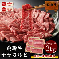 飛騨牛 カルビ 焼肉用 500g×4パック テラ盛り 送料無料 まとめ買い 計2kg 2キロ 黒毛和牛 ブランド牛 牛…