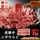 飛騨牛 牛肉 カルビ 焼肉用 500g×2 メガ盛り 送料無料 合計1kg 1キロ 肉 牛 お肉 1kg まとめ買い カルビ 焼肉 お肉 焼肉セット BBQ バーベキューセット バーベキュー 肉 食材 肉 和牛 黒毛和牛 ギガ盛り テラ盛り