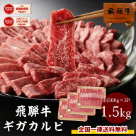 飛騨牛 カルビ 焼肉用 500g×3パック ギガ盛り 送料無料 計1.5kg まとめ買い 1キロ 1kg 以上 カルビ 焼肉…