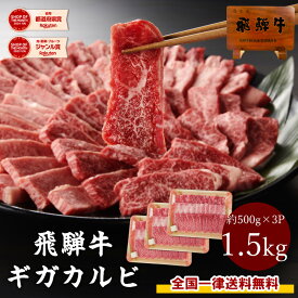 飛騨牛 カルビ 焼肉用 500g×3パック ギガ盛り 送料無料 計1.5kg まとめ買い 1キロ 1kg 以上 カルビ 焼肉 おうち焼肉 おうち焼き肉 お肉 BBQ バーベキュー 和牛 黒毛和牛 ブランド牛 牛肉 肉 メガ盛り テラ盛り 焼肉セット
