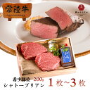 ステーキ ギフト プレゼント 肉 常陸牛 A5 最高級 シャトーブリアン バレンタイン チョコ以外 甘くない 誕生日プレゼ…