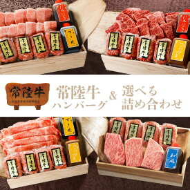 ギフト 肉内祝いお返し 1万 母の日 プレゼント ハンバーグ 選べる 詰め合わせ セット 常陸牛 ステーキ 焼肉 すき焼き サーロイン 肩ロース みすじ もも フィレ ヒレ ヒレ肉 ギフト 内祝い 出産祝い 結婚祝い お返し 和牛 誕生日プレゼント 食べ物 誕生日 あす楽