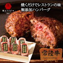 お歳暮 肉 ギフト ハンバーグ 肉 常陸牛 100% 100g×6個入り 冷凍 無添加 誕生日 食べ物 食品 内祝い 出産祝い お返し 結婚 お祝い 冷凍 グルメ 茨城 あす楽 御歳暮