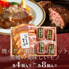 ギフト お返し ハンバーグ ハンバーグギフト 詰め合わせ 茨城美味セット 肉 常陸牛 豚 みそ漬け 誕生日プレゼント 内祝い 結婚祝い 出産祝い 誕生日プレゼント 就職 転勤 退職 卒業 男性 女性 グルメギフト あす楽