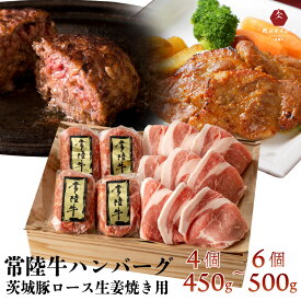肉 ハンバーグ ギフト プレゼント 2025 常陸牛 100g×6個 豚ロース しょうが焼き 500g セット 誕生日プレゼント 5000円 6000円 7000円 内祝い 出産祝い お返し 冷凍 結婚 茨城 あす楽