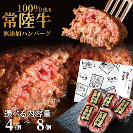 肉 ギフト お歳暮 冬ギフト 無添加 食べ物 誕生日プレゼント ハンバーグ グルメ 楽天1位 内祝い お返し 常陸牛 結婚 4000円 5000円 冷凍 送料無料 御歳暮