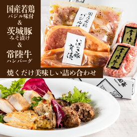 母の日 プレゼント 内祝い 5000円 ギフト 誕生日プレゼント お返し 焼くだけ美味 3種セット ハンバーグ ハンバーグギフト 箱入り 食べ物 お肉 常陸牛 みそ漬け バジル 若鶏 個包装 出産祝い 結婚祝い 60代 70代 80代 肉ギフト 通販 就職 入学 父 母 男 女 あす楽