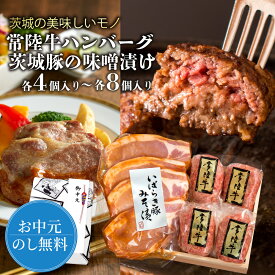 お中元 おかず ギフト 肉 プレゼント 2025 内祝い お返し 誕生日プレゼント 母親 父親 ハンバーグ 常陸牛100% 茨城豚みそ漬け 詰め合わせ 暑中見舞い 御中元 食品 出産祝い 結婚 お祝い 贈答 冷凍 グルメ あす楽 加工肉 1万 食べ物 惣菜