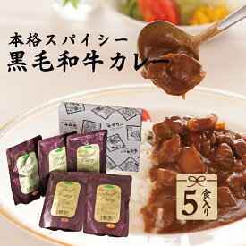 父の日 カレー 肉 プレゼント ギフト 父の日ギフト お中元 内祝い お返し 誕生日プレゼント お肉が美味しい本格スパイシー レトルトカレー 黒毛和牛 ビーフカレー 高級｜ 手土産 甘口 中辛 辛口 結婚 出産祝い 出産内祝い 食べ物 3000円 5000円 7000円 あす楽