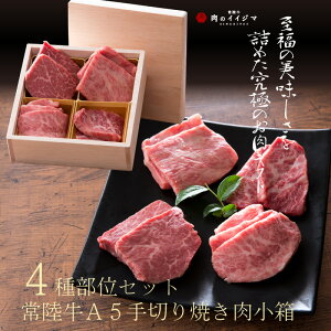  Mtg v[g 2025 ̎؂ 헤 A5 v~A ē lߍ킹 j oYj Ԃ hV̓  c䌩 䒆 j 1~ av[g j H